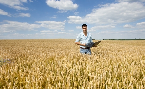 Foto Bauer im Kornfeld