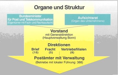 Organe und Struktur