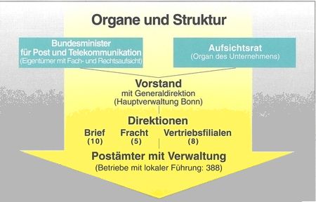 Organe und Struktur