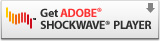 Icon Adobe Shockwave Player